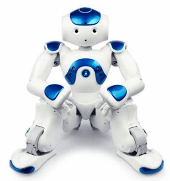 Programmable Humanoid Robot NAO V6